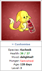 kacheek.png