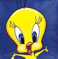 tweety.jpg