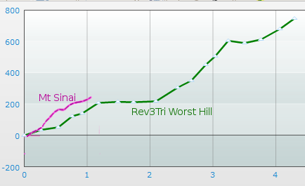 rev3-mtsinai.png